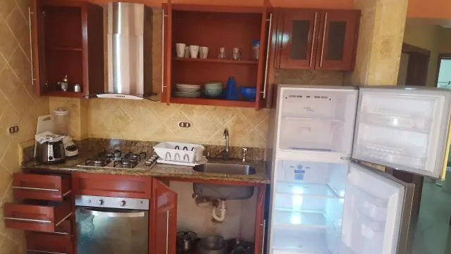Residencial Las Palmeras De Willy Boca Chica Apartment